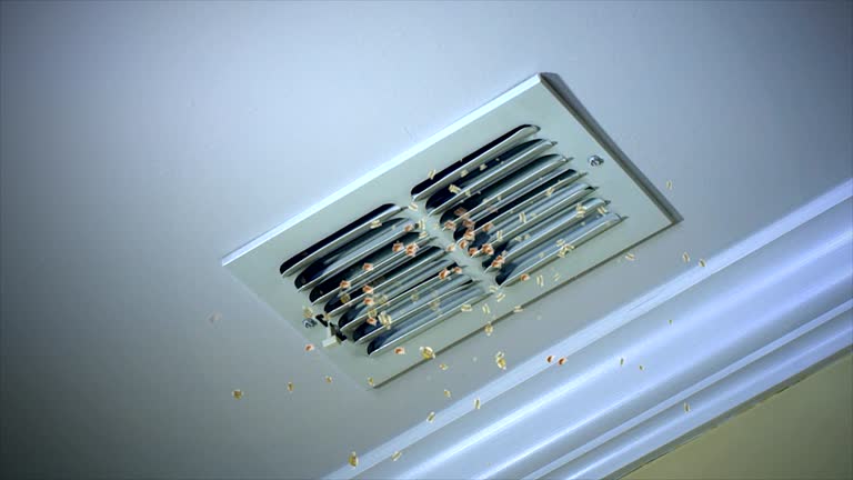 Best Best Air Duct Cleaning Company  in Belgium, WI
